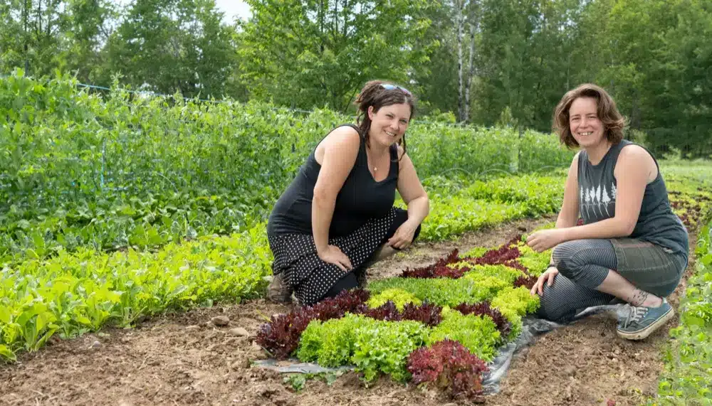 visite exploratoire en agriculture